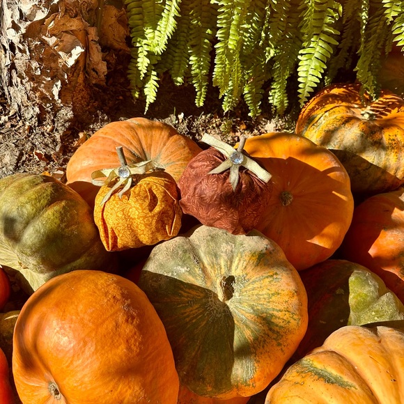 Pumpkin Decor - Picture 11 of 12